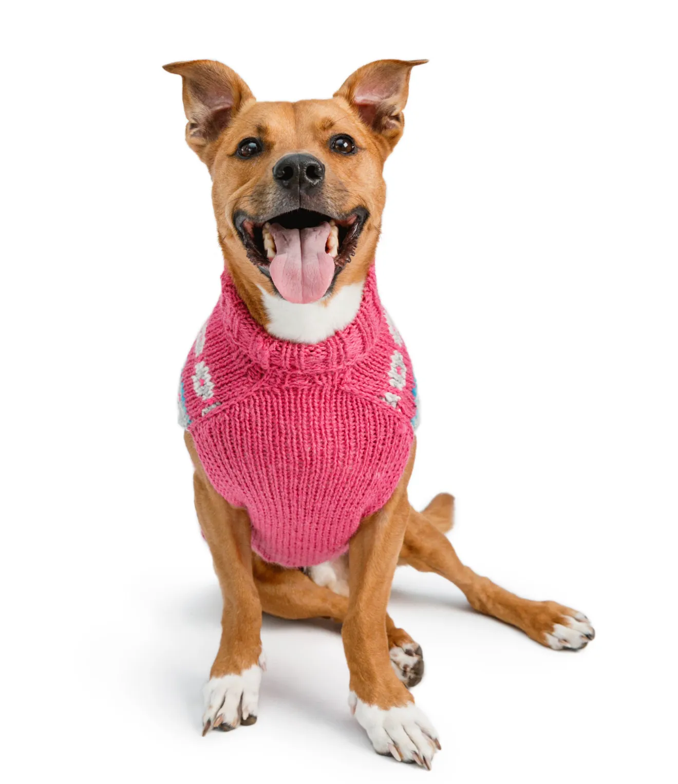 Alpaca Rose Fairisle Dog Sweater