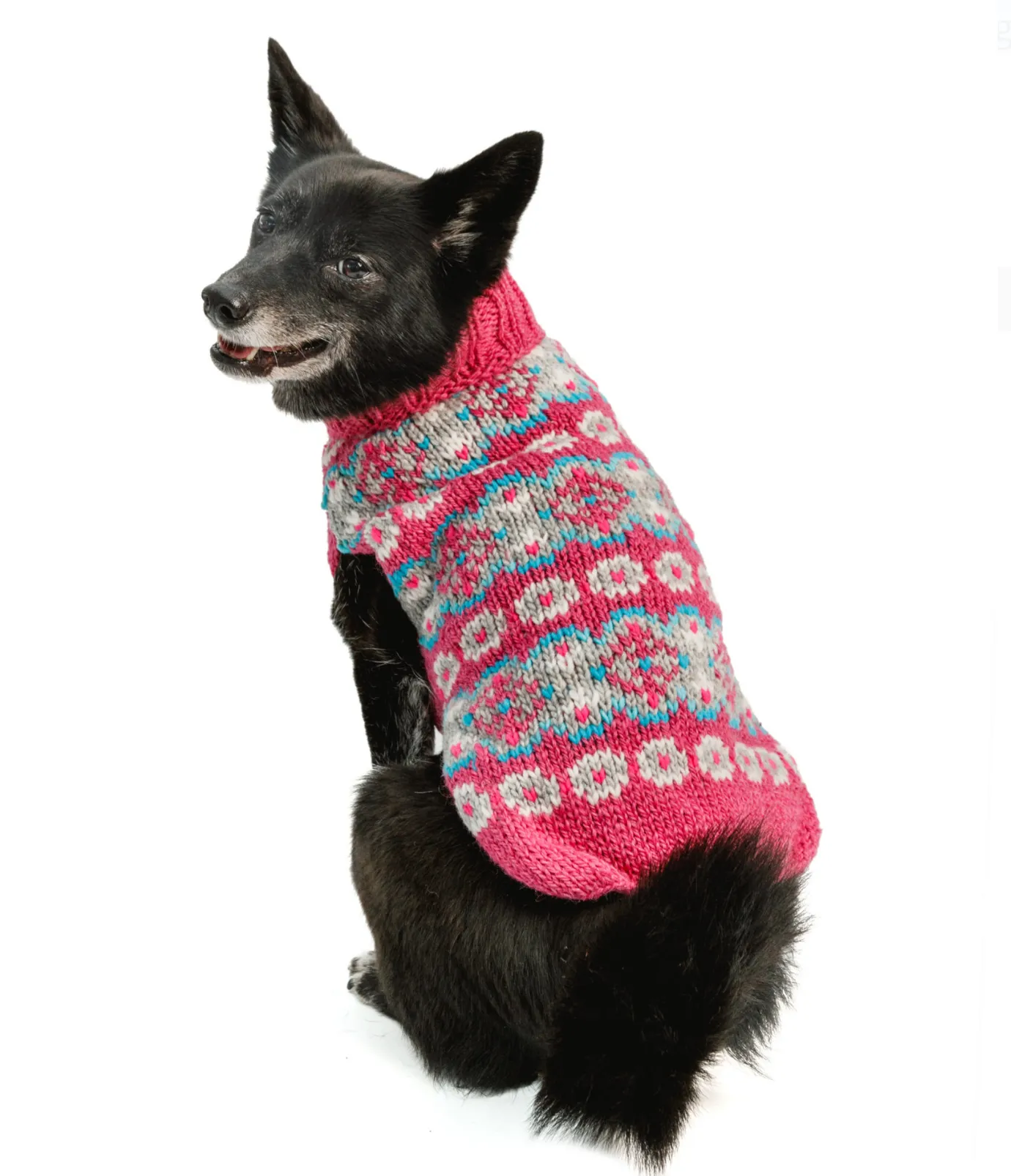Alpaca Rose Fairisle Dog Sweater