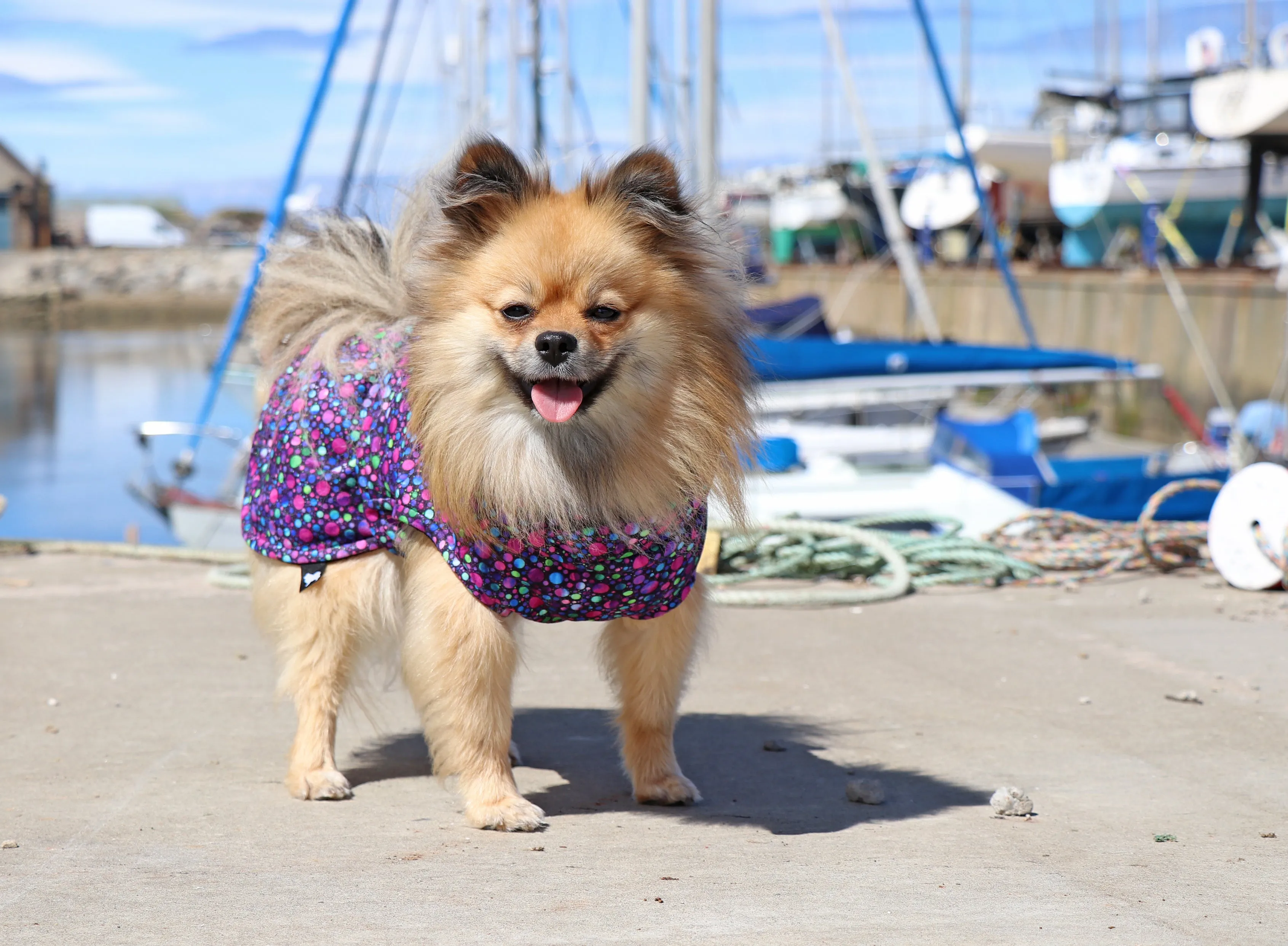 Bubblicious McTog Drying Coat
