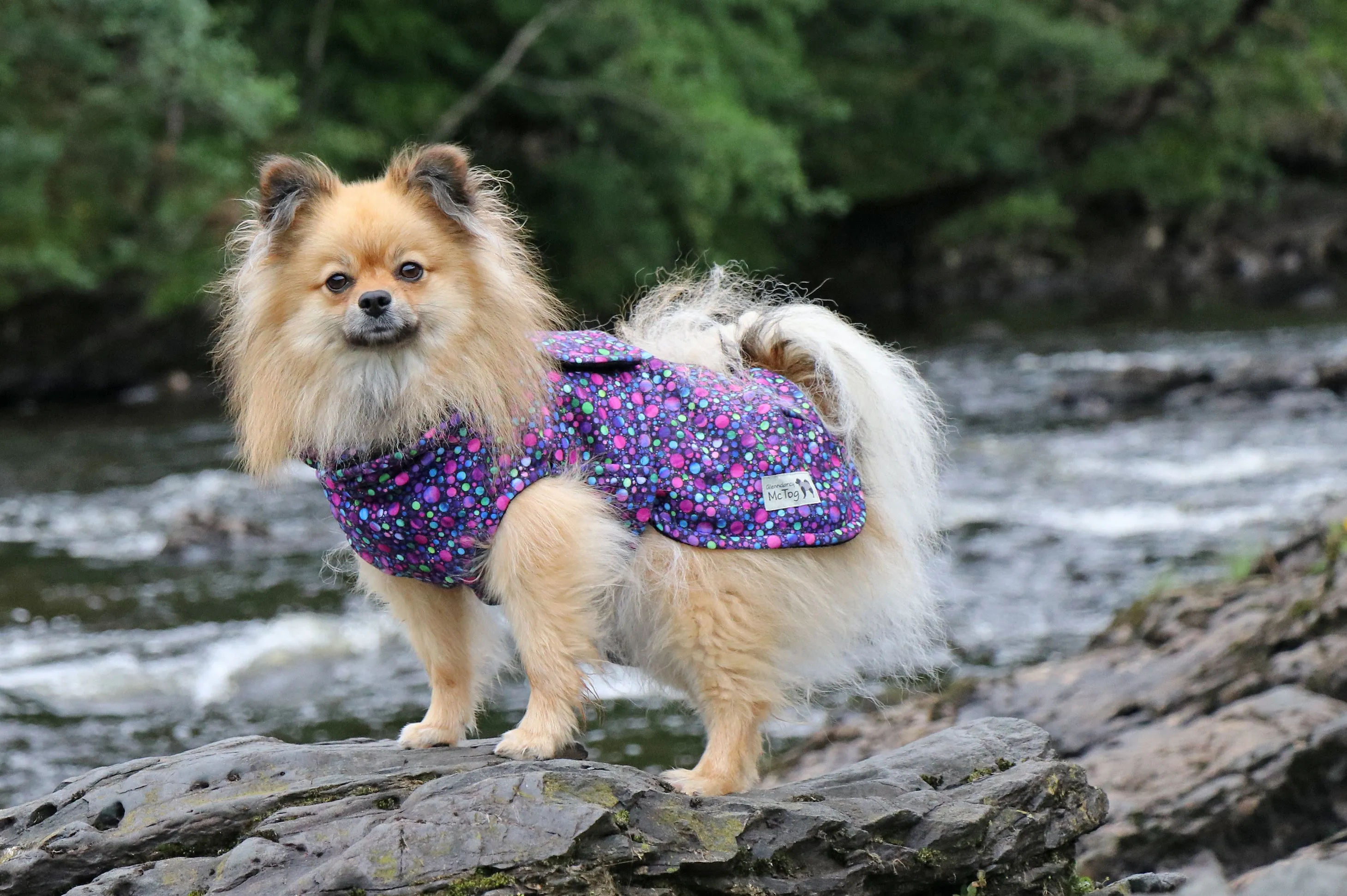Bubblicious McTog Drying Coat