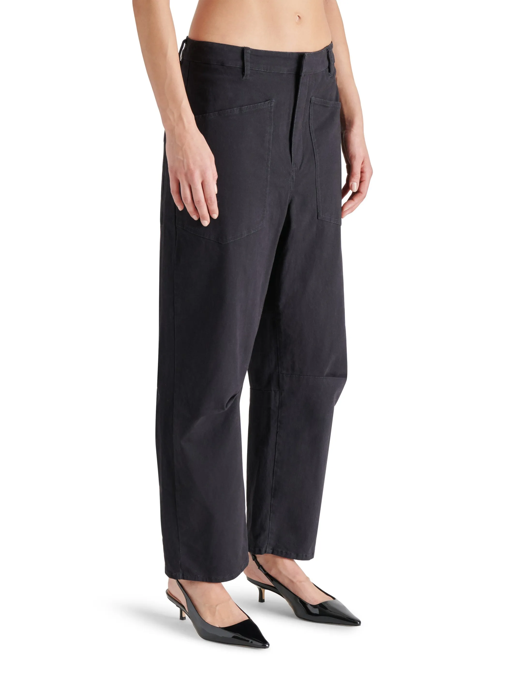 Haniel Pant