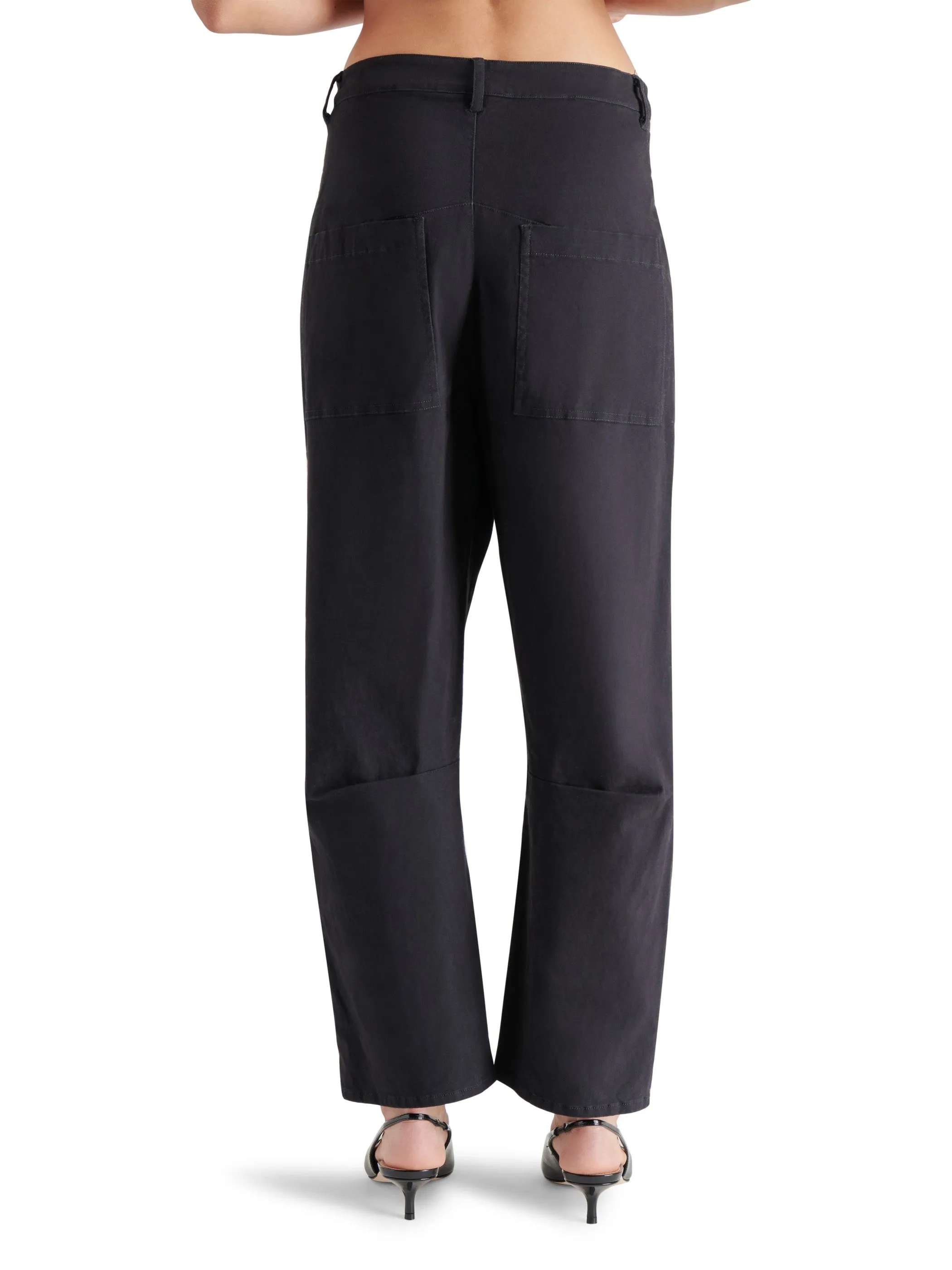 Haniel Pant