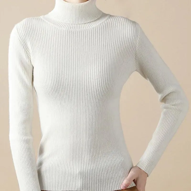 Soft Cashmere Feel Turtleneck Sweater