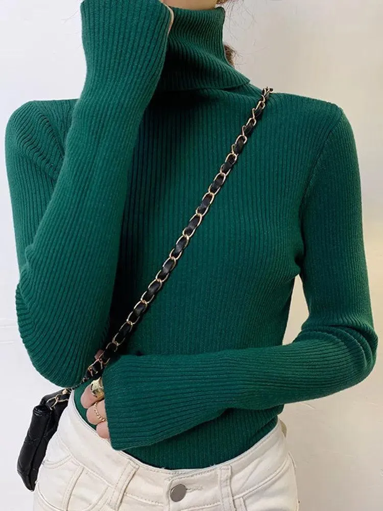 Soft Cashmere Feel Turtleneck Sweater