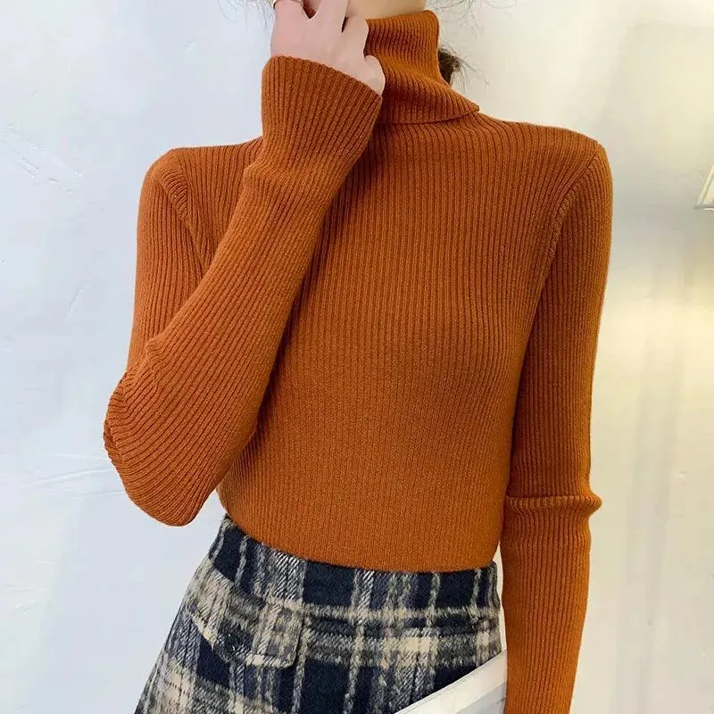 Soft Cashmere Feel Turtleneck Sweater