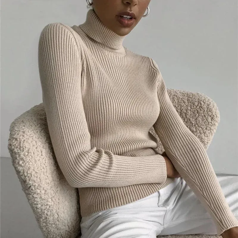 Soft Cashmere Feel Turtleneck Sweater