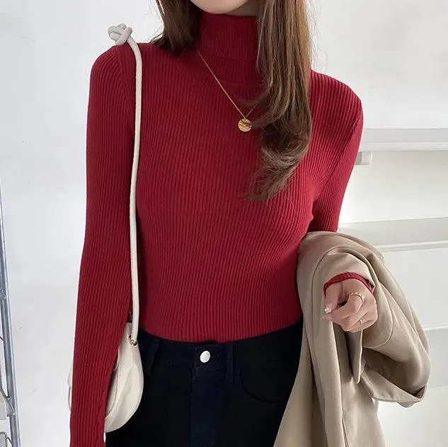 Soft Cashmere Feel Turtleneck Sweater