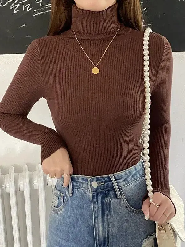Soft Cashmere Feel Turtleneck Sweater