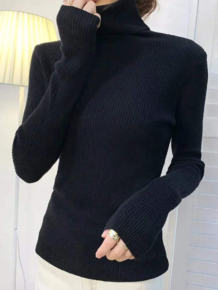 Soft Cashmere Feel Turtleneck Sweater