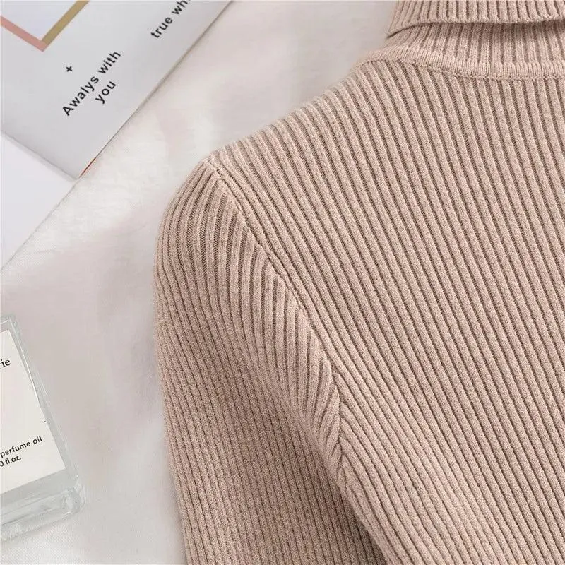 Soft Cashmere Feel Turtleneck Sweater