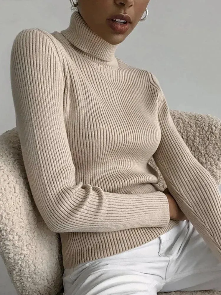 Soft Cashmere Feel Turtleneck Sweater